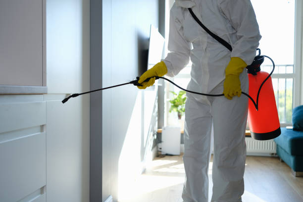 Best Insurance-Related Mold Remediation in Fraser, MI
