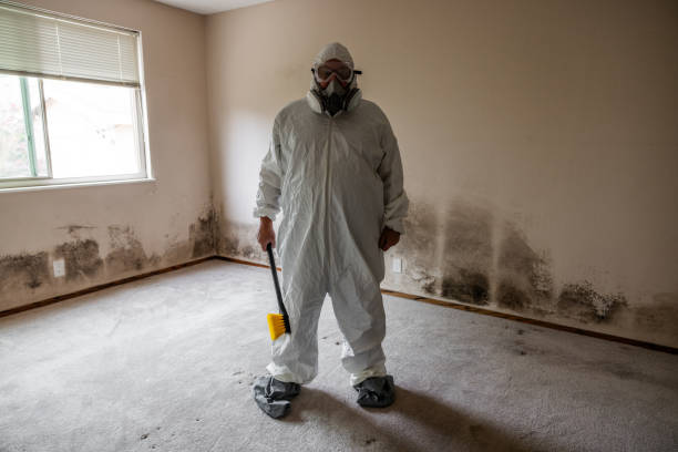 Best Mold Remediation for Specific Building Types in Fraser, MI